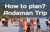 How to plan a trip to Andaman? | Total Cost | Hotels | Cruise | Air Fare | Self booking???