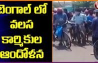Migrant Workers Stage Protest In West Bengal | V6 Telugu News