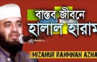 হালাল হারাম নিয়ে ভাবছেন !!! Mizanur Rahman azhari । Rose Tv24 Presents