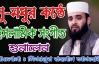 Mizanur Rahman Azhari New bangla gojol 2019 ll মাওলানা মিজানুর রহমান আজহারী নতুন গজল শুনেছি কি