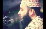 Mizanur Rahman azhari short WhatsApp status video