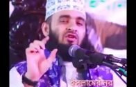 Most important reason speach mizanur rahman||mizanur rahman azhari status video