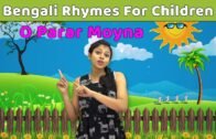 Moyna Song Bangla | Moyna Pakhi Song Kids | Learn To Sing Bengali Rhymes For Children | Baby Rhymes