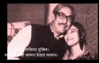 Mujib Kobita | মুজিব | Bangla Kobita | Aman Ullah Aman