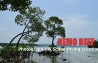 Nemo Reef Havelock | Scuba Location | Andaman and Nicobar Islands Tourism Video