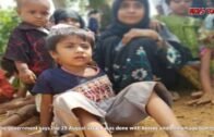 [NEWS DAILY] Myanmar: who are the arakan rohingya salvation army? – bbc news