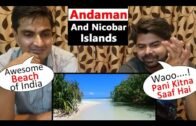 Pakistani Reaction On Andaman And Nicobar Islands | India Tourism Video | Drone View