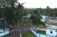 Panoramic view of a village in Andaman & Nicobar Islands