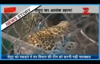 Panther reaches a crowded place in West Bengal's Raiganj area, public fears