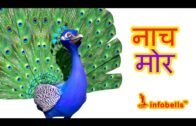 नाच मोर । Peacock Hindi Rhymes for Children