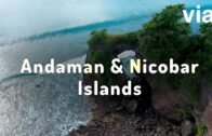 Places to Visit in Andaman & Nicobar Islands