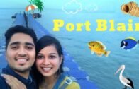 PORT BLAIR || 25 Places to visit near Port Blair || Andaman & Nicobar Islands ||