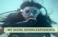 Scuba Diving In Andaman And Nicobar Islands | INDIA
