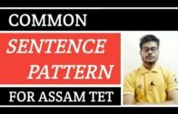 Sentence pattern for Assam TET 2019 /Assam TET English grammar