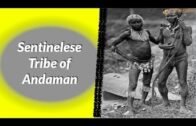 Sentinelese Tribe – Andaman & Nicobar Islands || UPSC || IAS