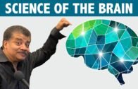 StarTalk Podcast: Science of the Brain with Neil deGrasse Tyson