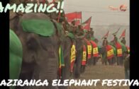 The amazing Kaziranga Elephant Festival of Assam India