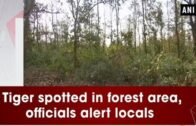 Tiger spotted in forest area, officials alert locals – West Bengal News