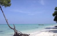 TOp 10 Places To Visit In Andaman Nicobar Island | Andaman Nicobar Island Tourism