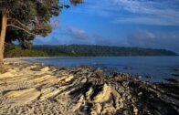 Tourist Places To Visit In Andaman and Nicobar Islands – Hybz.tv