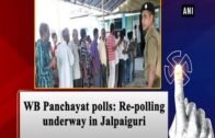 WB Panchayat polls: Re-polling underway in Jalpaiguri – west Bengal News