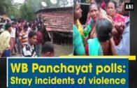 WB Panchayat polls: Stray incidents of violence – West Bengal News
