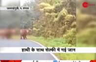 West Bengal: Shocking! Furious elephant attacks tourist | नाराज हाथी ने टूरिस्ट पर किया हमला
