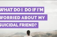 What do I  do if I'm worried about a Suicidal Friend?
