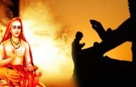 आदि गुरु शंकराचार्य का जीवन परिचय |  Adi Shankaracharya Biography