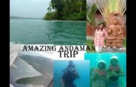 Andaman and Nicobar Island vlog | Cellular jail | subtitles | beach lovers | Nature lovers |