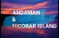 Andaman & Nicobar Island – Parrot Island