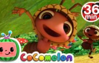 Ants Go Marching + More Nursery Rhymes & Kids Songs – CoComelon