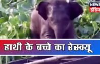 Assam: हाथी के बच्चे का रेस्क्यू | May 11, 2019