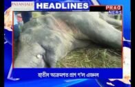 Assam's top headlines of 20/11/2018 | Prag News headlines