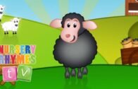 BAA BAA BLACK SHEEP | Classic Nursery Rhymes | English Songs For Kids | Nursery Rhymes TV
