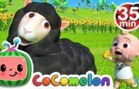 Baa Baa Black Sheep + More Nursery Rhymes & Kids Songs – CoComelon