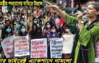 Bangla News 08 October 2020 Bangladesh Latest Today News,Today Live Bangla News, Bd News24