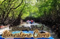 Baratang Limestone Cave ये गुफा जिंदा है…  Andaman and Nicobar Island / baratang cave india