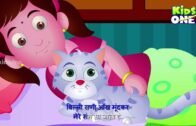 बिल्ली रानी | Billi Rani Hindi Nursery Rhymes For Children | The Cat Hindi Rhyme