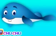 Blue Whale Nursery Rhyme | ChuChuTV Sea World | Animal Songs & Nursery Rhymes For Children