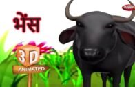 Buffalo Rhyme in Hindi | Hindi Rhymes For Kids | हिंदी कविता | Animal Rhymes For Kids in Hindi