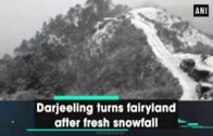 Darjeeling turns fairyland after fresh snowfall – West Bengal #News