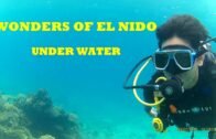 El Nido Philippines Scuba Diving | Ranmarc Dive Shop |