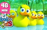 Five Little Ducks – THE BEST Nursery Rhymes and Songs for Children | LooLooKids