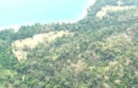 Forested hilly islands: Andaman and Nicobar