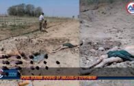 Four bodies found in Mrauk-U Township   Arakan, Myanmar