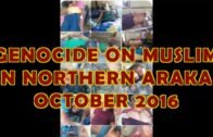 GENOCIDE ON ROHINGYA MUSLIM IN NORTHERN ARAKAN OCTOBER 2016 UPDATE