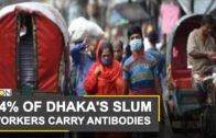 Half of Dhaka's residents carry antibodies | Coronavirus Pandemic | World News