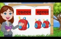 Hindi Grammar – Vachan (वचन) | Hindi words for kids | Indian youtuber chunmun