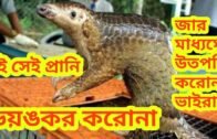 Jar Madhome Toiri Corona Virus || COVID-19 Update In Bangladesh|| Bangla Darshan